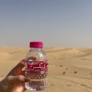 낙타 | [아부다비] 마이리얼트립 사막투어 낙타 후기 | 사막투어 옷 추천