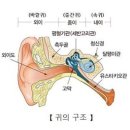이석 이미지