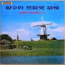 여수home
