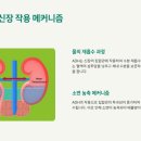 푸더스 이미지