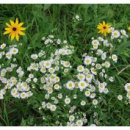 (주)소리안 이미지