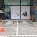 플레이독 남양주점 이미지