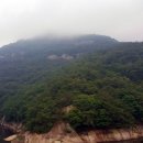 나무향기펜션 이미지