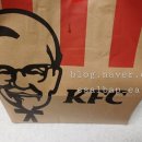 더블다운 | [KFC] 도파민 쫙 도는 자극적인 맛 '징거더블다운통다리 박스' 후기