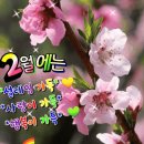 2월2일 뇌졸중 총정리 &amp;예방 이미지