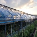 고성사랑부동산 공인중개사사무소 이미지