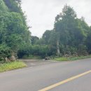 표선면-8 이미지