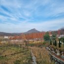 용인사계절화원 이미지