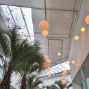 도하저수지 | [카페리뷰]수원 대형 한옥 베이커리카페 야외테라스카페 강추 혜경궁베이커리카페 후기