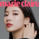 수지 이미지