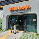 제물포매표소 | 인천 아이랑 갈 곳 추천 6세 아이 대만족한 와일드벅스 월미도 실내 체험 후기