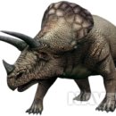 트리케라톱스-3 이미지