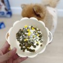 s.j soft(소프트) | 포메라니안 강아지 사료 닥터독 베츠초이스J+ 관절사료 후기