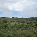 홍조단괴 탈의장(서빈백사) 이미지