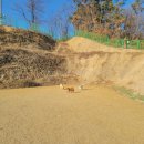 개두방정 이미지