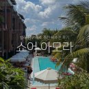 아모라 | 발리 짱구 페레레난 숙소 쇼어 아모라 짱구 호텔 솔직 후기