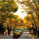 매천로2길 이미지