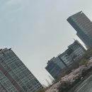 계절향기 이미지