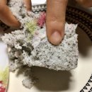 미주아파트경로당 | 부산앙금플라워 떡케이크, 프롬리케이크에서 어버이날 카네이션 떡케이크 주문했어요!
