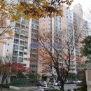 경희골프스쿨 이미지