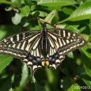 동암아이사랑어린이집 이미지