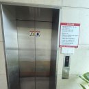 선녀바위펜션 | 영종도 선녀바위해수욕장 앞 팜비치 펜션 5인실 개별바베큐 솔직 후기