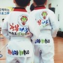 청솔태권도 이미지