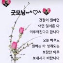 아자