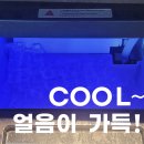 짐슈타인 이미지