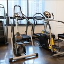 오가닉피티 회천점 이미지