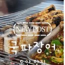 장어파장어 | [대전 도안 맛집] 파김치와 함께 즐기는 이색 장어구이! '국파장어'후기