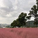 커피핑크 - 익산시 무왕로 892 | 커피핑크