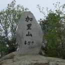 솔향약국 이미지