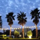 제주가족의 시간 이미지