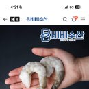 [네이버멤버십 한정] 🍤 비비수산 칵테일새우 최소 10,520원~ 할인 + 무료배송 이미지