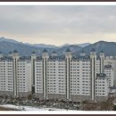 수목토 Daum카페