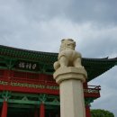 남산관광여행사자