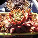 우성상사 이미지