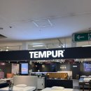 클래식듣지만 말고 체험도 ok | 대구 템퍼 씰리 침대 매트리스 OK혼수백화점 직접 누워본 솔직리뷰