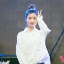 버미