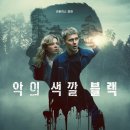 넷플릭스 추천 영화 <악의 색깔: 블랙> 줄거리 결말 후기, 평화로운 마을이 감춘 추악한 반전(쿠키 유무)