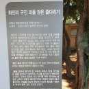 화진리 구진마을 앉은 줄다리기 이미지