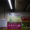 우수렙타일