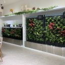 연세갤러리치과의원 이미지