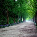 오토블링 부산점 이미지