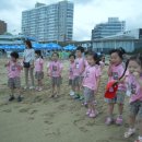 단포초등학교병설유치원 이미지