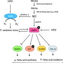 일산365온의원 이미지