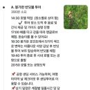 낭만수컷 - 창원시 진해구 충무로70번길 4 | 말레이시아 코타키나발루여행 맹글로브 원숭이 악어 석양 감상 봉가완 반딧불 투어 솔직후기
