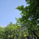 세영공원 농구장 이미지