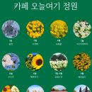 카페오늘 - 익산시 익산대로52길 42 | 카페오늘